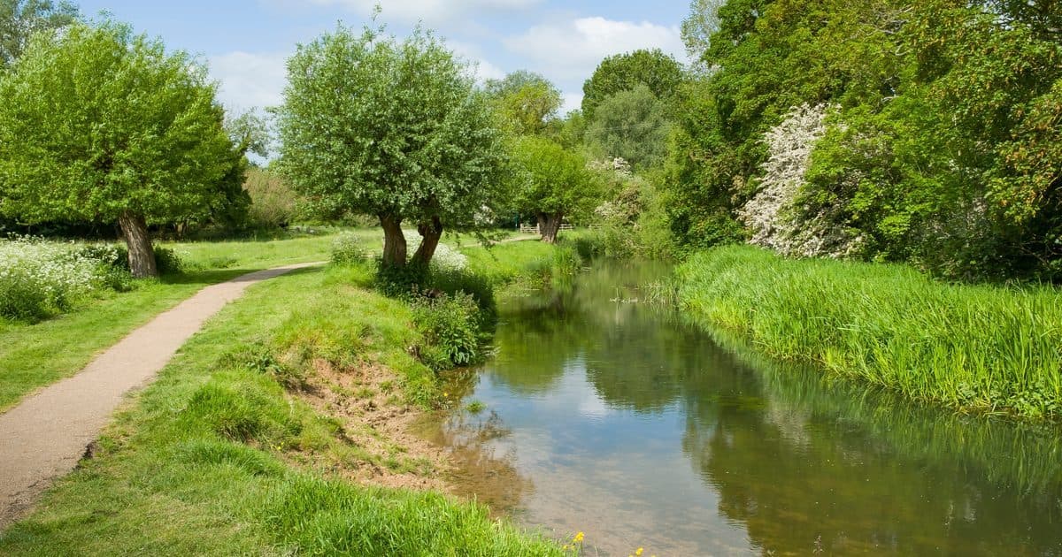 About Our Rubbish Removal Service in Stony Stratford